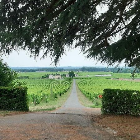Bed and Breakfast A L'Ombre De La Treille -Proche Saint-Emilion Esterno foto