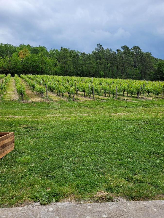 Bed and Breakfast A L'Ombre De La Treille -Proche Saint-Emilion Esterno foto